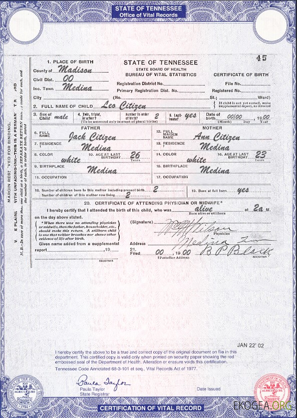 Modèle de certificat de naissance de l'État du Tennessee aux États Unis au format PSD